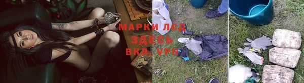 молекула духа Алексеевка